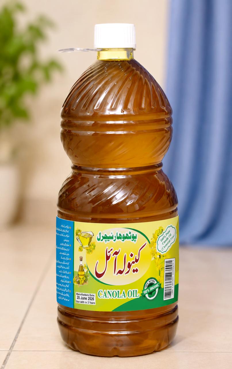 Pothohar Oil